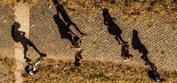 aerial view of students and their prominent shadows walking on a cobblestone path